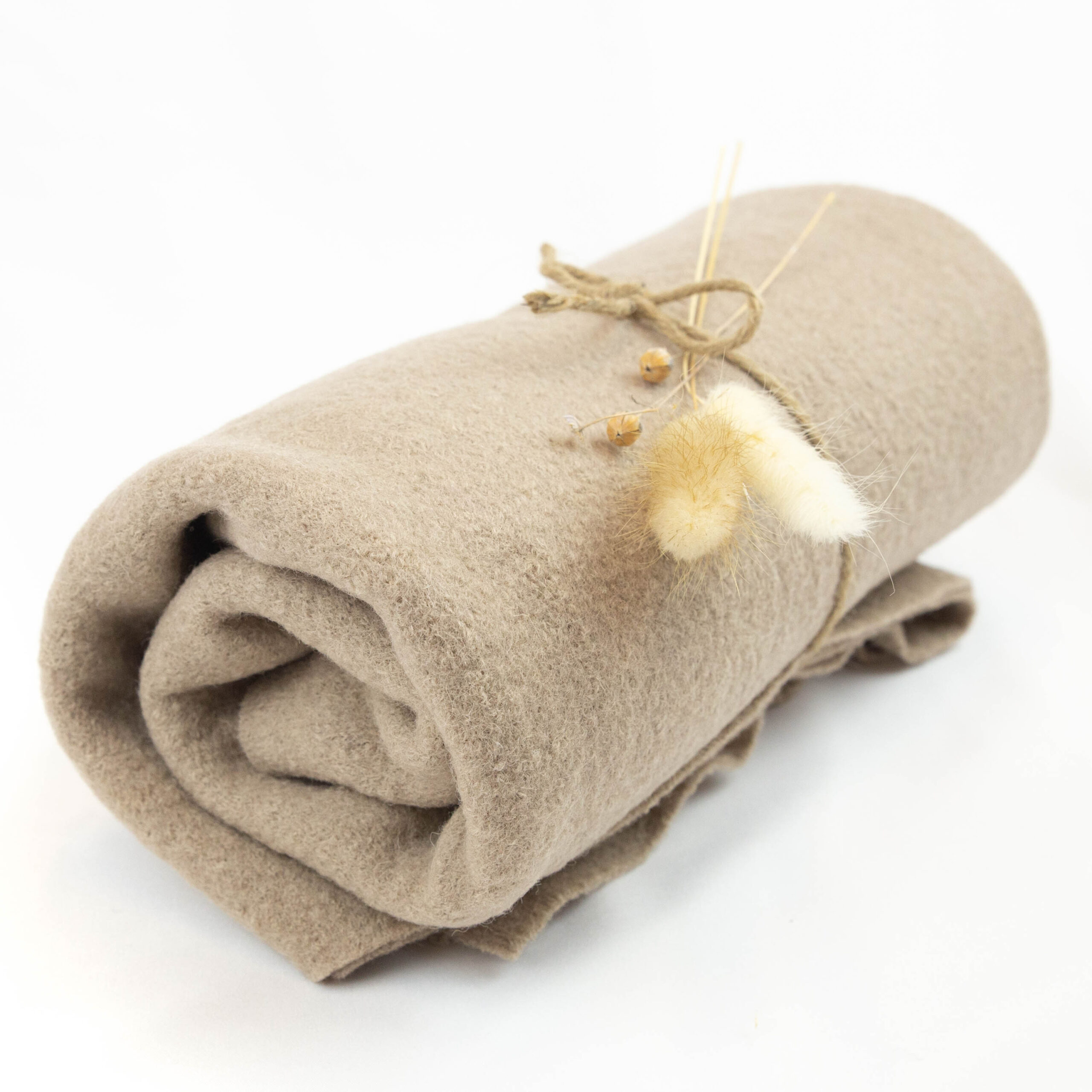 FrenchTerryBrushed-Darkbeige2